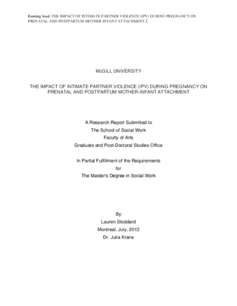 The Impact of Intimate Partner Violence (IPV) during Pregnancy on Prenatal and Postpartum Mother-Infant Attachment thumbnail