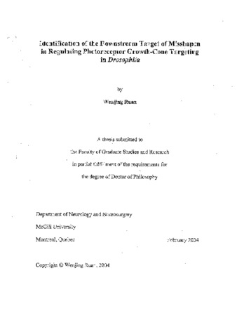 Identification of the downstream target of misshapen in regulating photoreceptor growth-cone targeting in Drosophila thumbnail
