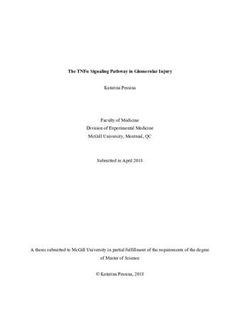 The tumor necrosis factor alpha signalling pathway in glomerular injury thumbnail