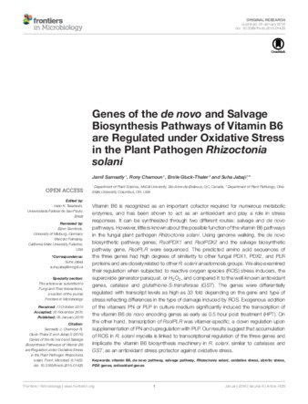 Genes of the de novo and Salvage Biosynthesis Pathways of Vitamin B6 are Regulated under Oxidative Stress in the Plant Pathogen Rhizoctonia solani thumbnail