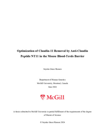 Optimization of Claudin-11 Removal by Anti-Claudin Peptide NT11 in the Mouse Blood-Testis Barrier thumbnail