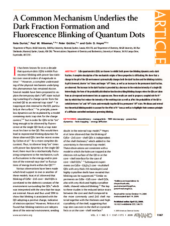 A Common Mechanism Underlies the Dark Fraction Formation and Fluorescence Blinking of Quantum Dots thumbnail