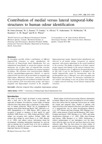 Contribution of medial versus lateral temporal-lobe structures to human odour identification thumbnail