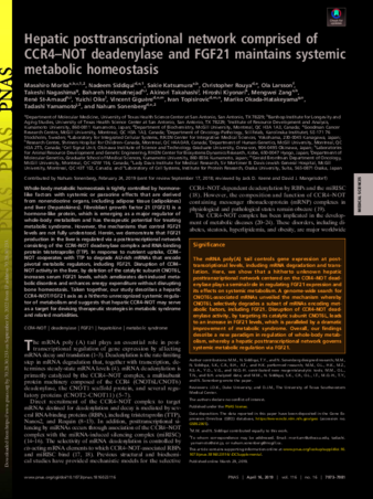 Hepatic posttranscriptional network comprised of CCR4–NOT deadenylase and FGF21 maintains systemic metabolic homeostasis thumbnail