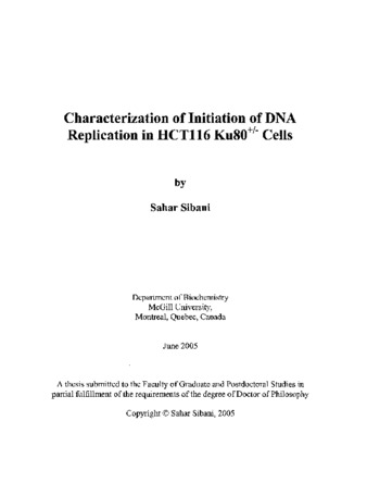 Characterization of initiation of DNA replication in HCT116 Ku80+- Cells thumbnail