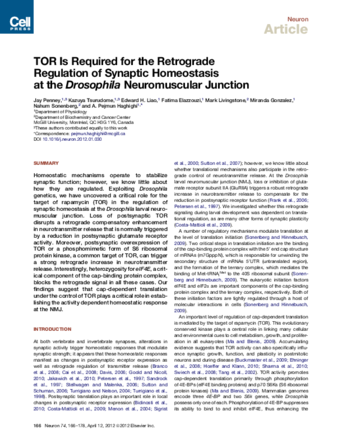 TOR Is Required for the Retrograde Regulation of Synaptic Homeostasis at the Drosophila Neuromuscular Junction thumbnail