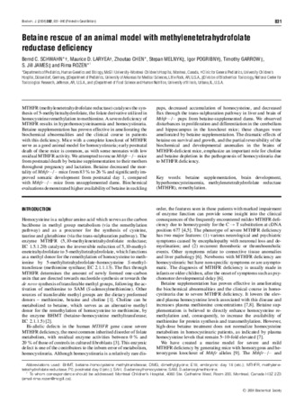 Betaine rescue of an animal model with methylenetetrahydrofolate reductase deficiency thumbnail