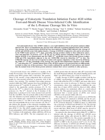 Cleavage of Eukaryotic Translation Initiation Factor 4GII within Foot-and-Mouth Disease Virus-Infected Cells: Identification of the L-Protease Cleavage Site In Vitro thumbnail