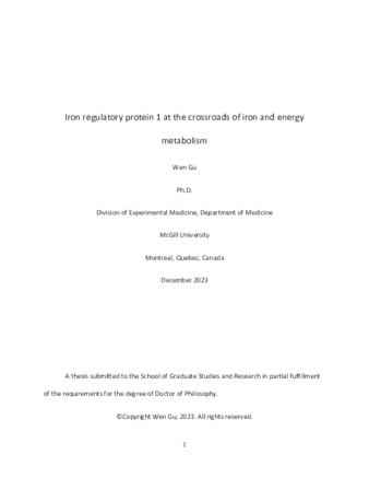 Iron regulatory protein 1 at the crossroads of iron and energy metabolism thumbnail