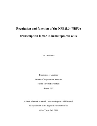 Regulation and function of the NFE2L3 (NRF3) transcription factor in hematopoietic cells thumbnail
