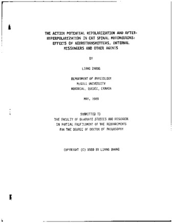 The action potential repolarization and after-hyperpolarization in cat spinal motoneurons : effects of neurotransmitters, internal messengers and other agents thumbnail