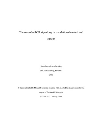 The role of mTOR signalling in translational control and cancer thumbnail