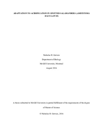 Adaptation to acidification in spotted salamanders «Ambystoma Maculatum» thumbnail