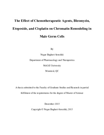 The effect of chemotherapeutic agents, bleomycin, etoposide, and cisplatin on chromatin remodeling in male germ cells thumbnail
