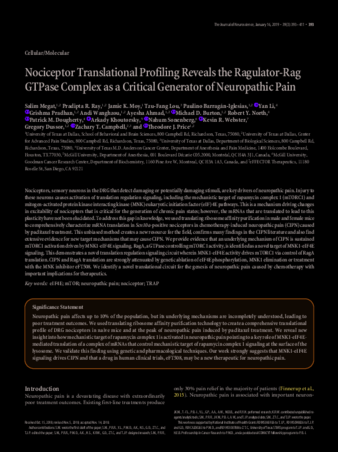 Nociceptor Translational Profiling Reveals the Ragulator-Rag GTPase Complex as a Critical Generator of Neuropathic Pain thumbnail