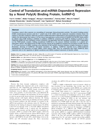 Control of Translation and miRNA-Dependent Repression by a Novel Poly(A) Binding Protein, hnRNP-Q thumbnail