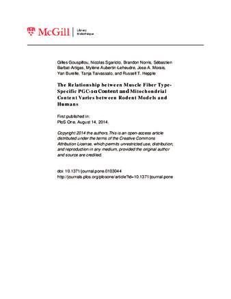The Relationship between Muscle Fiber Type-Specific PGC-1α Content and Mitochondrial Content Varies between Rodent Models and Humans thumbnail