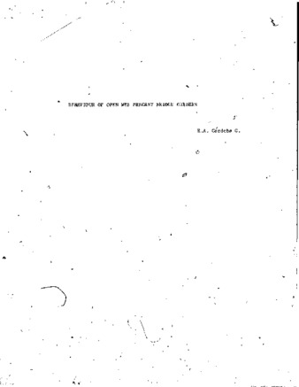 Behaviour of open web precast bridge girders : experimental study thumbnail