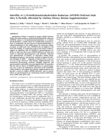 Infertility in 5,10-Methylenetetrahydrofolate Reductase (MTHFR)-Deficient Male Mice Is Partially Alleviated by Lifetime Dietary Betaine Supplementation thumbnail