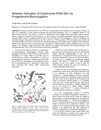 Allosteric Activation of Cytochrome P450 3A4 via Progesterone Bioconjugation thumbnail