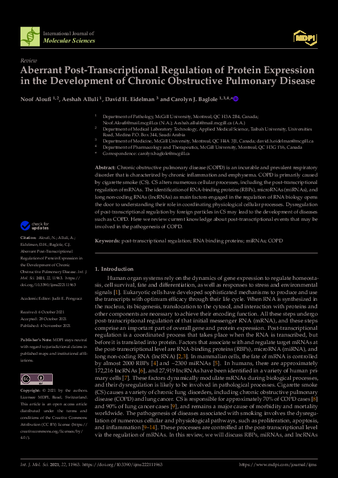 Aberrant Post-Transcriptional Regulation of Protein Expression in the Development of Chronic Obstructive Pulmonary Disease thumbnail