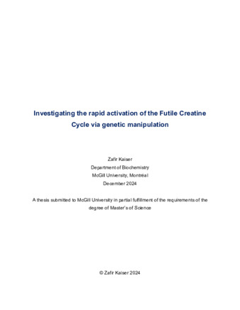 Investigating the rapid activation of the futile creatine cycle via genetic manipulation thumbnail