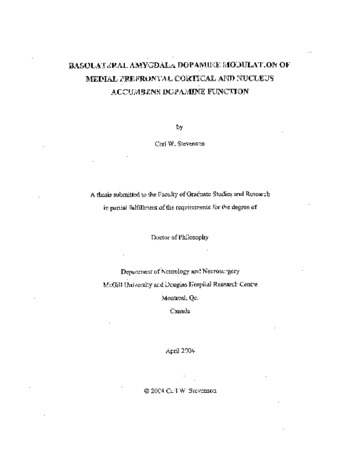 Basolateral amygdala dopamine modulation of medial prefrontal cortical and nucleus accumbens dopamine function thumbnail