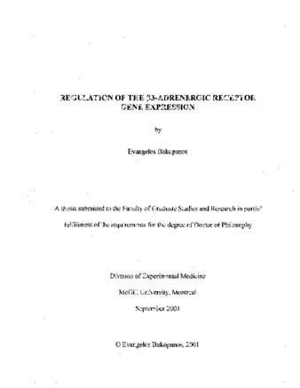 Regulation of the 3-adrenergic receptor gene expression thumbnail