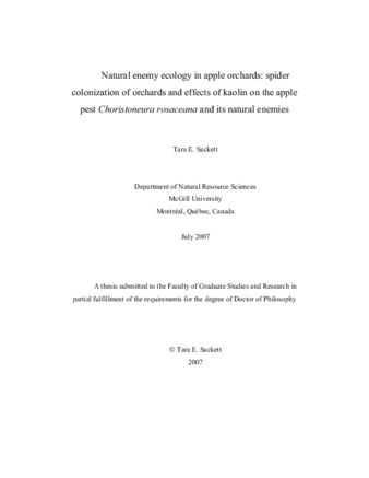 Natural enemy ecology in apple orchards: spider colonization of orchards and effects of kaolin on the apple pest «Choristoneura rosaceana» and its natural enemies thumbnail