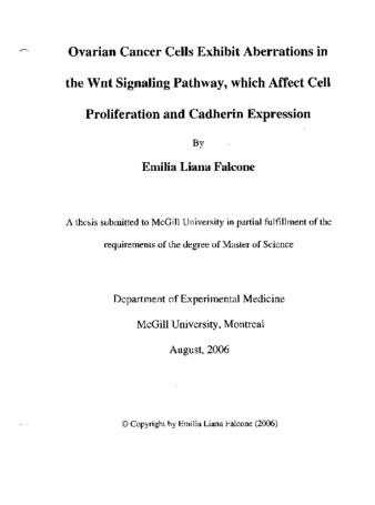 Ovarian cancer cells exhibit aberrations in the Wnt signaling pathway, which affect cell proliferation and cadherin expression thumbnail