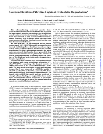 Calcium Stabilizes Fibrillin-1 against Proteolytic Degradation thumbnail