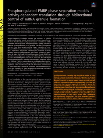 Phosphoregulated FMRP phase separation models activity-dependent translation through bidirectional control of mRNA granule formation thumbnail