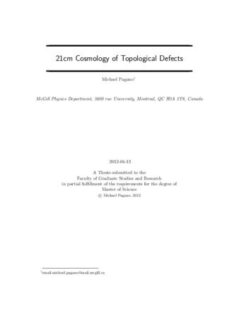 21 cm cosmology of topological defects thumbnail