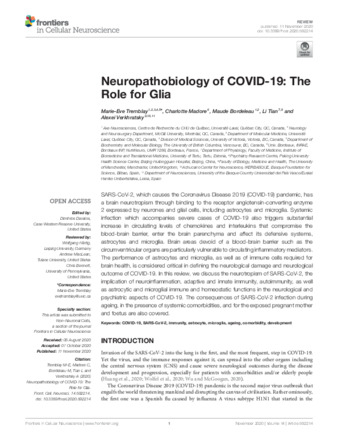  Neuropathobiology of COVID-19: The Role for Glia thumbnail