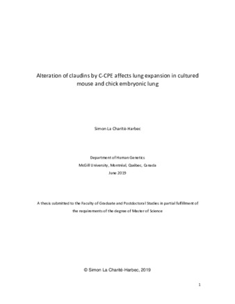 Alteration of claudins by C-CPE affects lung expansion in cultured mouse and chick embryonic lung thumbnail