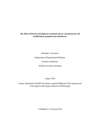 The effect of decorin and biglycan on human airway smooth muscle cell proliferation, apoptosis and attachment thumbnail