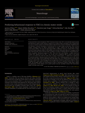 Predicting behavioural response to TDCS in chronic motor stroke thumbnail