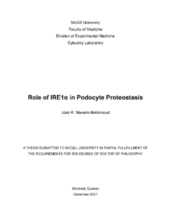 Role of IRE1α in podocyte proteostasis thumbnail