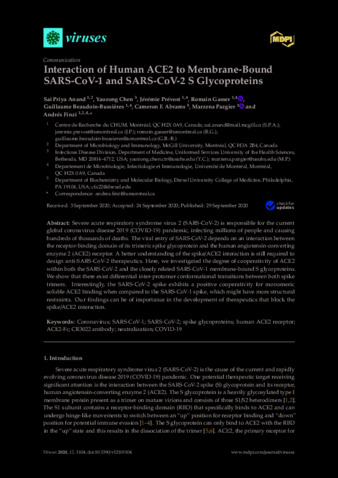 Interaction of Human ACE2 to Membrane-Bound SARS-CoV-1 and SARS-CoV-2 S Glycoproteins thumbnail