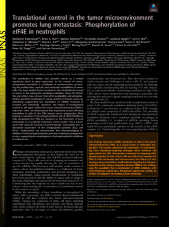 Translational control in the tumor microenvironment promotes lung metastasis: Phosphorylation of eIF4E in neutrophils thumbnail