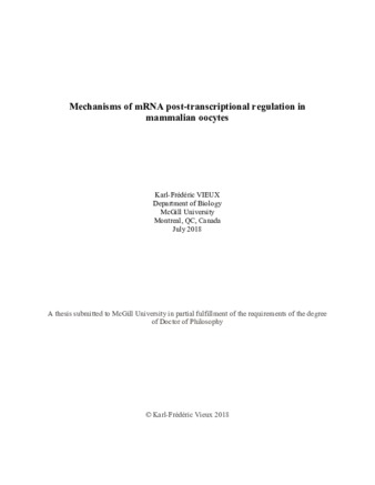 Mechanisms of mRNA post-transcriptional regulation in mammalian oocytes thumbnail