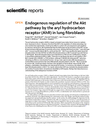 Endogenous regulation of the Akt pathway by the aryl hydrocarbon receptor (AhR) in lung fibroblasts thumbnail