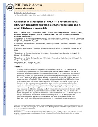 Correlation of transcription of MALAT-1, a novel noncoding RNA, with deregulated expression of tumor suppressor p53 in small DNA tumor virus models. thumbnail