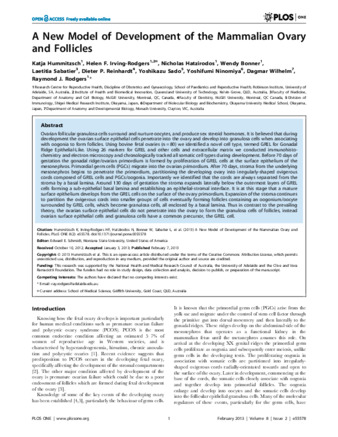 A New Model of Development of the Mammalian Ovary and Follicles thumbnail