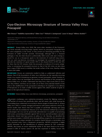 Cryo-Electron Microscopy Structure of Seneca Valley Virus Procapsid thumbnail