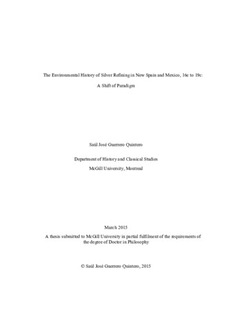 The environmental history of silver refining in New Spain and Mexico, 16c to 19c: a shift of paradigm thumbnail