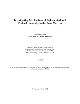 Investigating mechanisms of beta-glucan-induced trained immunity in the bone marrow thumbnail
