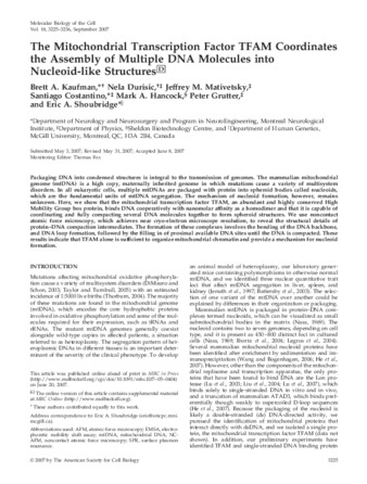 The Mitochondrial Transcription Factor TFAM Coordinates the Assembly of Multiple DNA Molecules into Nucleoid-like StructuresFormula thumbnail