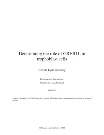 Determining the role of GREB1L in trophoblast cells thumbnail