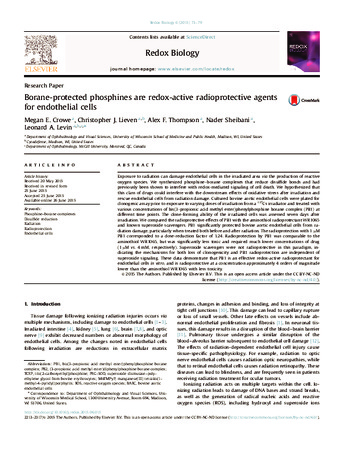 Borane-protected phosphines are redox-active radioprotective agents for endothelial cells thumbnail